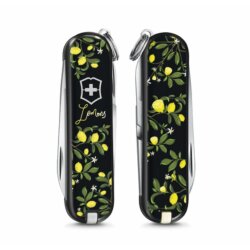 Victorinox Classic - Limited Edition 2019 - When Life...