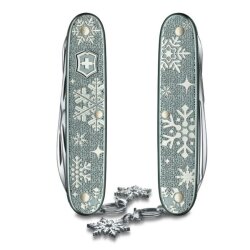 Pioneer X Winter Magic Special Edition 2020