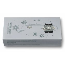 Pioneer X Winter Magic Special Edition 2020