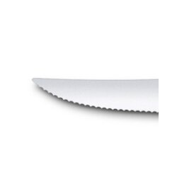 Swiss Modern Besteck-Set , 12-teilig ,Mint-grün mitSteak/Pizzamesser