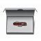 Victorinox Classic SD Precious Alox - Hazel Brown
