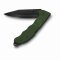 Victorinox Evoke BSH Alox Olive Green