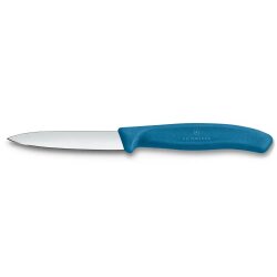 Gemüsemesser,glatter Schliff, blau, 8 cm